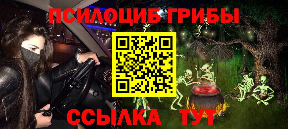 Тихвин  Галлюциногенные грибы Psilocybine cubensis  Вход с VPN  сколько стоит  Псилоцибиновые грибы Psilocybe 